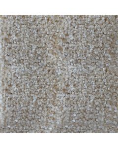 Carpet, Solaris, polyamide-non-stick layer, cream, 4 m x 8 mm
