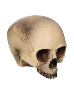 Halloween decorative skull, plastic, 30x20 cm, beige, 1 piece