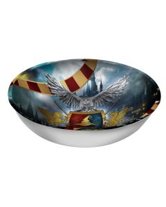Serving bowl, Harry Potter, plastic, 1 piece