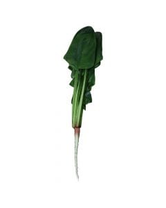 Artificial vegetables, spinach, 6x12 cm, 1 piece