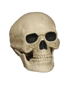 Halloween skull, 20 cm