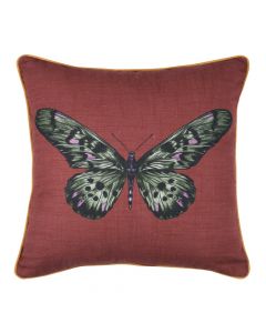 Curiosity decorative pillow, cotton, crimson, 40x40 cm