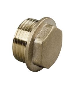 M Brass Threaded Cap 1/2"