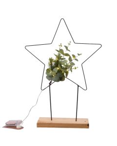 Decorative lighting, star with LED leaves, green cable, battery