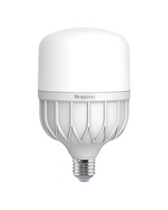 LED lamp BRAYTRON, SMD, E27, 30W, 6500K, 2630lm, 220V-240V AC