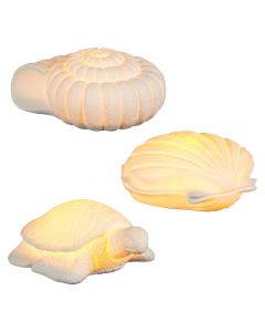 Shell lamp, battery operated, 16x13x6cm, white