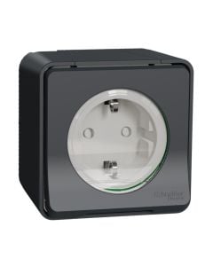 Prize muri e jashtme, Schneider, 16A, 250V, 2 module, IP55, plastike, e zeze